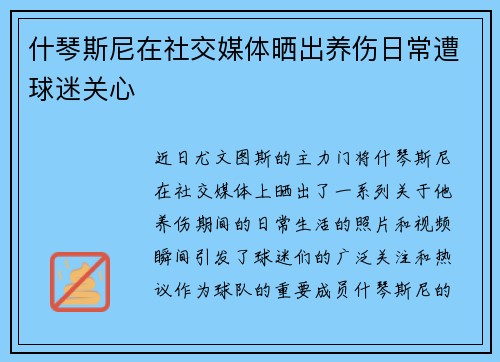 什琴斯尼在社交媒体晒出养伤日常遭球迷关心